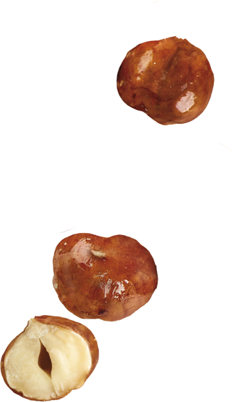 Hazelnuts